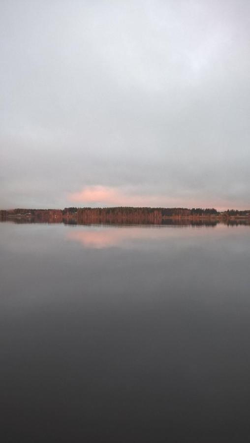Guest House Haapaniemen Hirsikartano Iisalmi Zewnętrze zdjęcie