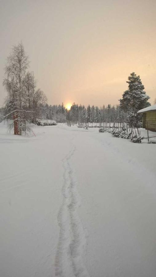 Guest House Haapaniemen Hirsikartano Iisalmi Zewnętrze zdjęcie