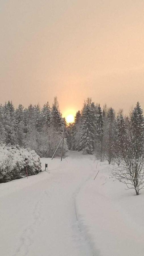 Guest House Haapaniemen Hirsikartano Iisalmi Zewnętrze zdjęcie